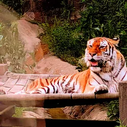 Erie Zoo & Botanical Gardens - Erie