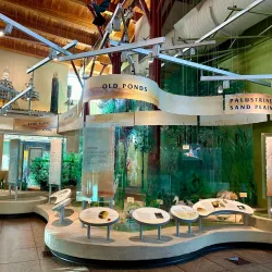 Tom Ridge Environmental Center - Erie