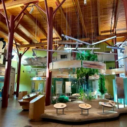 Tom Ridge Environmental Center - Erie