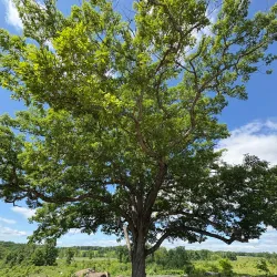 Big Round Top - Gettysburg
