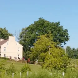 Sachs Covered Bridge - Gettysburg