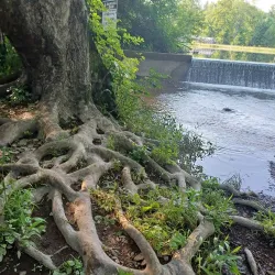 Sachs Covered Bridge - Gettysburg