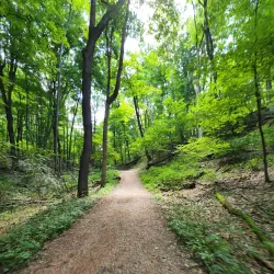 Bushy Run Battlefield - Greensburg