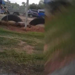 Mercer County Fairgrounds - Greenville