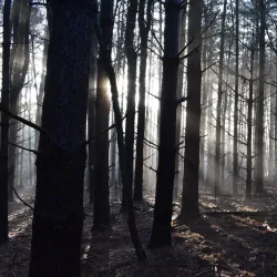 Shenango River Lake and Recreation Area - Greenville
