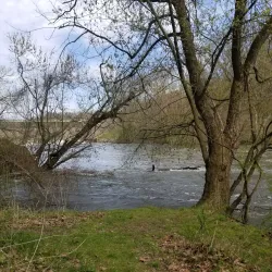 Shenango River Lake and Recreation Area - Greenville