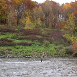 Shenango River Lake and Recreation Area - Greenville