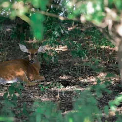 Shenango River Lake and Recreation Area - Greenville