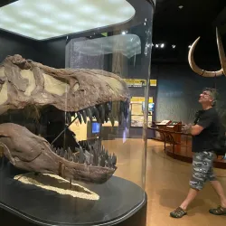 State Museum of Pennsylvania - Harrisburg