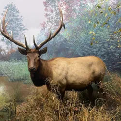 State Museum of Pennsylvania - Harrisburg