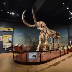 State Museum of Pennsylvania - Harrisburg