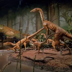 State Museum of Pennsylvania - Harrisburg