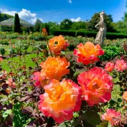 Hershey Gardens - Hershey