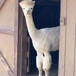 Indian Echo Caverns - Hershey