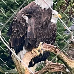 ZooAmerica North American Wildlife Park - Hershey