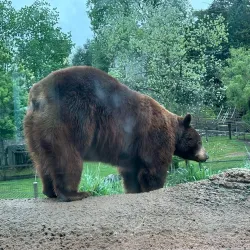 ZooAmerica North American Wildlife Park - Hershey