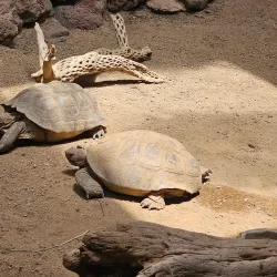 ZooAmerica North American Wildlife Park - Hershey