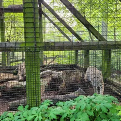 ZooAmerica North American Wildlife Park - Hershey