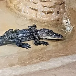 ZooAmerica North American Wildlife Park - Hershey