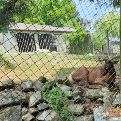 ZooAmerica North American Wildlife Park - Hershey