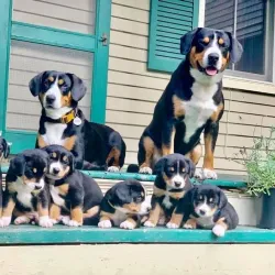 Dyberry Creek Park - Honesdale