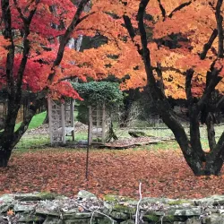 Dyberry Creek Park - Honesdale