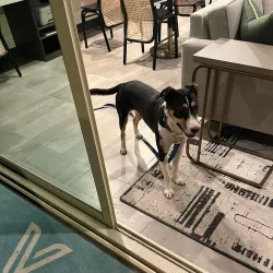 Dyberry Creek Park - Honesdale