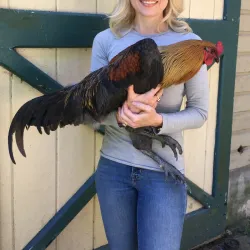 Dyberry Creek Park - Honesdale