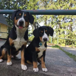 Dyberry Creek Park - Honesdale