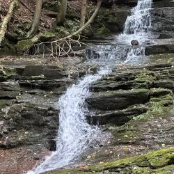 Prompton State Park - Honesdale