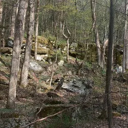 Prompton State Park - Honesdale