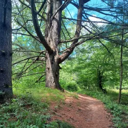 The Delaware and Hudson Canal Museum - Honesdale