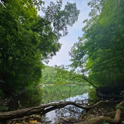 Allegrippis Trails - Huntingdon