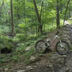 Allegrippis Trails - Huntingdon