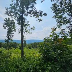 Allegrippis Trails - Huntingdon