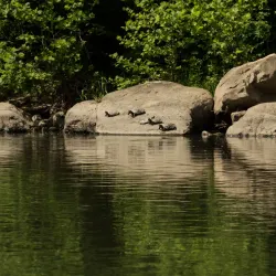 Juniata River - Huntingdon