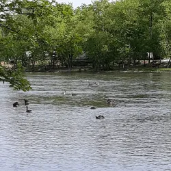 Juniata River - Huntingdon