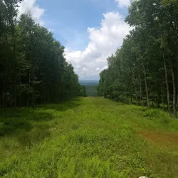 Standing Stone Trail - Huntingdon