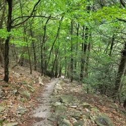 Standing Stone Trail - Huntingdon