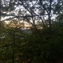 Standing Stone Trail - Huntingdon