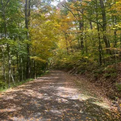 Rothacker Park - Johnstown
