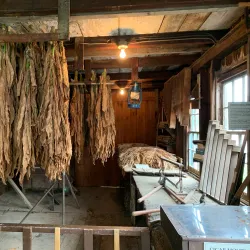 Amish Farm and House - Lancaster