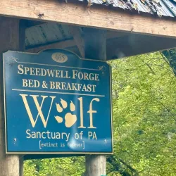 Wolf Sanctuary of PA - Lancaster