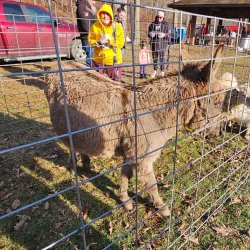 Heritage Park - Lower Burrell