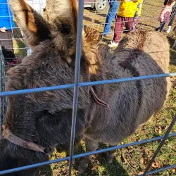 Heritage Park - Lower Burrell