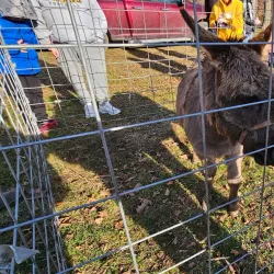 Heritage Park - Lower Burrell