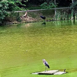 Lower Burrell Community Park - Lower Burrell