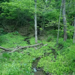 Riverfront Trail - Lower Burrell