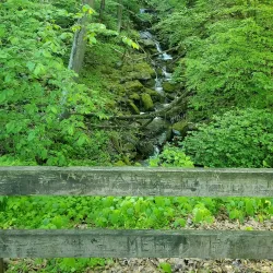 Riverfront Trail - Lower Burrell