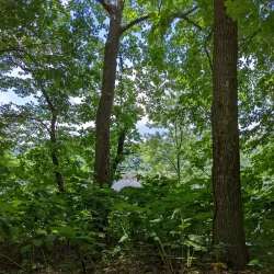 Riverfront Trail - Lower Burrell